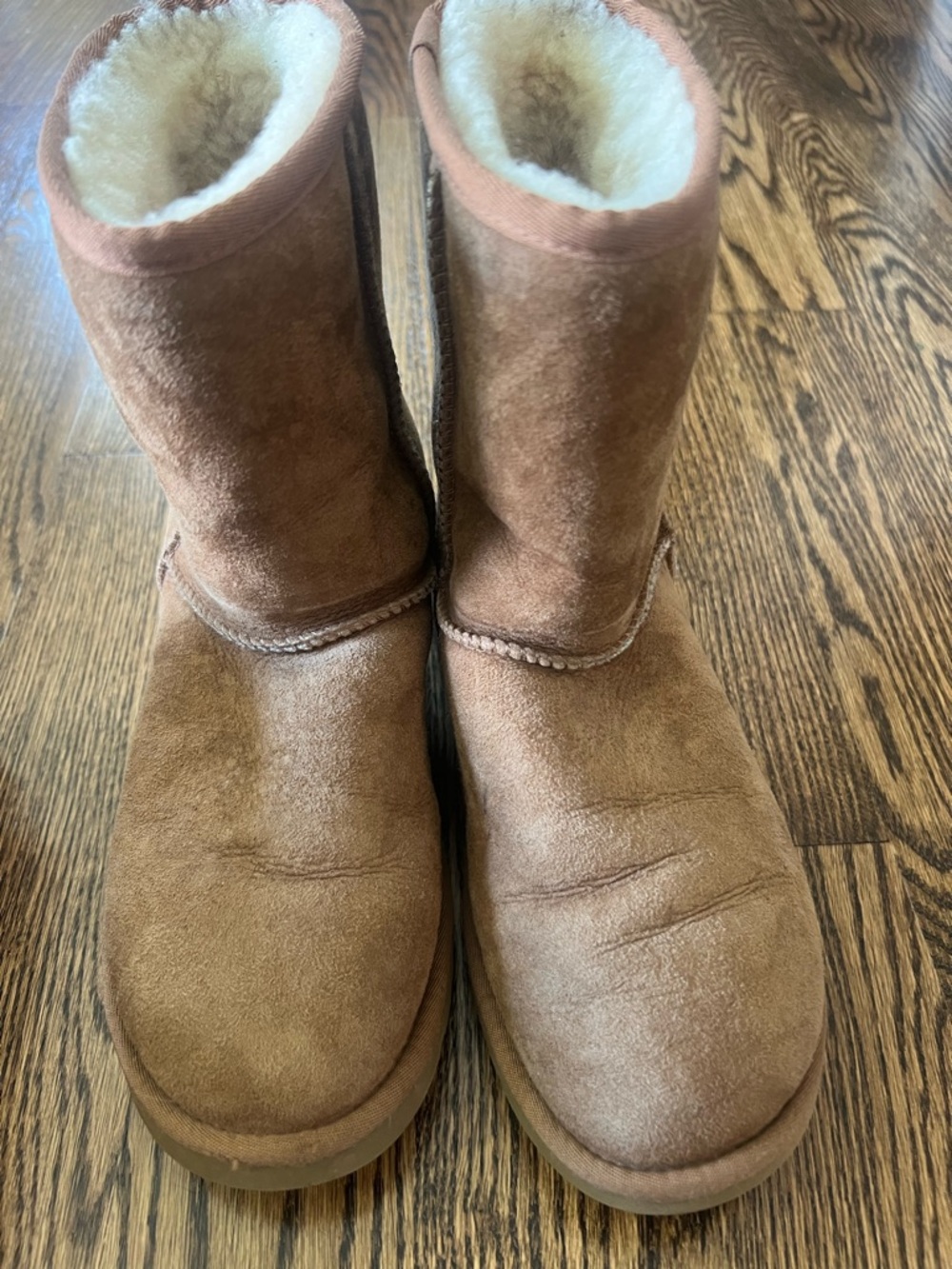 UGG Classic Short Boot in Chestnut with Cream Shearling